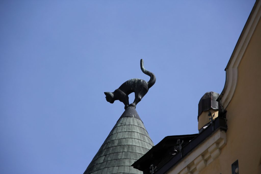 リーガ旧市街の猫