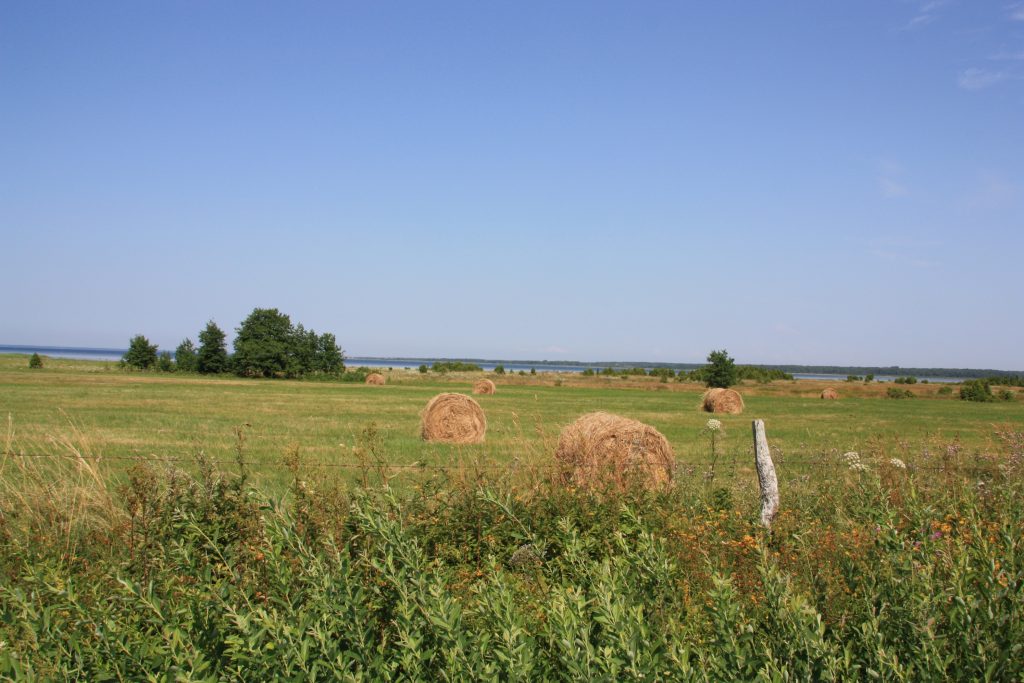 エストニアの農村風景